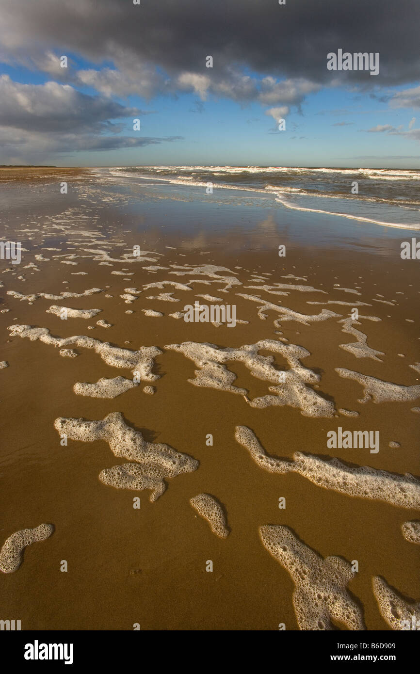 RSPB Titchwell Nature Reserve Norfolk UK Dezember Stockfoto