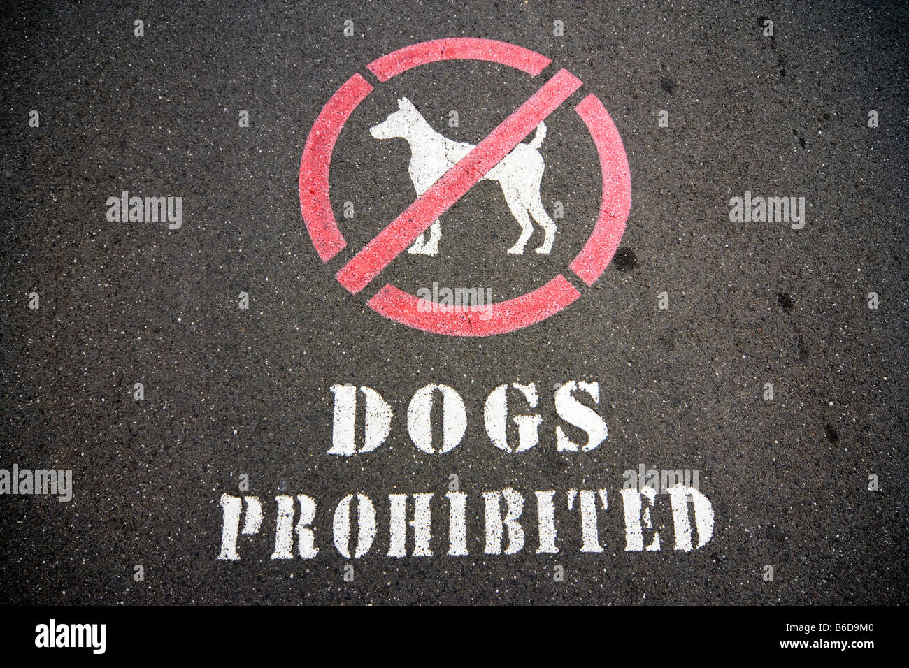 Melden Sie Hunde verboten stenciled auf dem Bürgersteig. Stockfoto