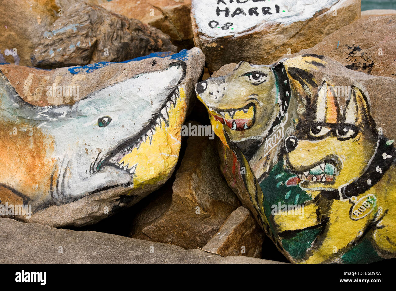 Hai und Hunde gemalt auf den Felsen des Wellenbrechers Nambucca Heads NSW Australia Stockfoto