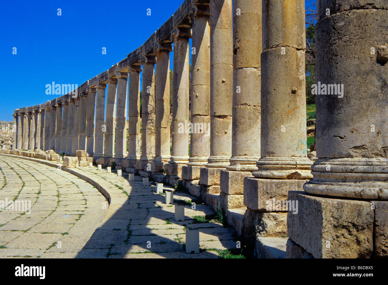 Säulen rund um das Oval Plaza in die Römerstadt Jerash, Jordanien 0207 Stockfoto