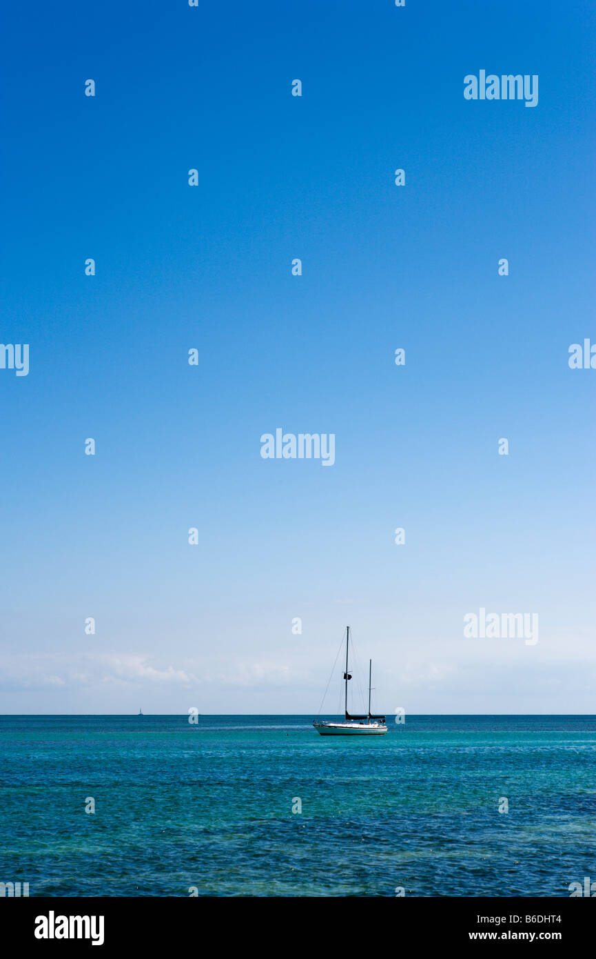 Yacht vor Anker vor der Küste bei Whale Harbor, obere Roman Taste, Islamorada, Florida Keys, USA Stockfoto