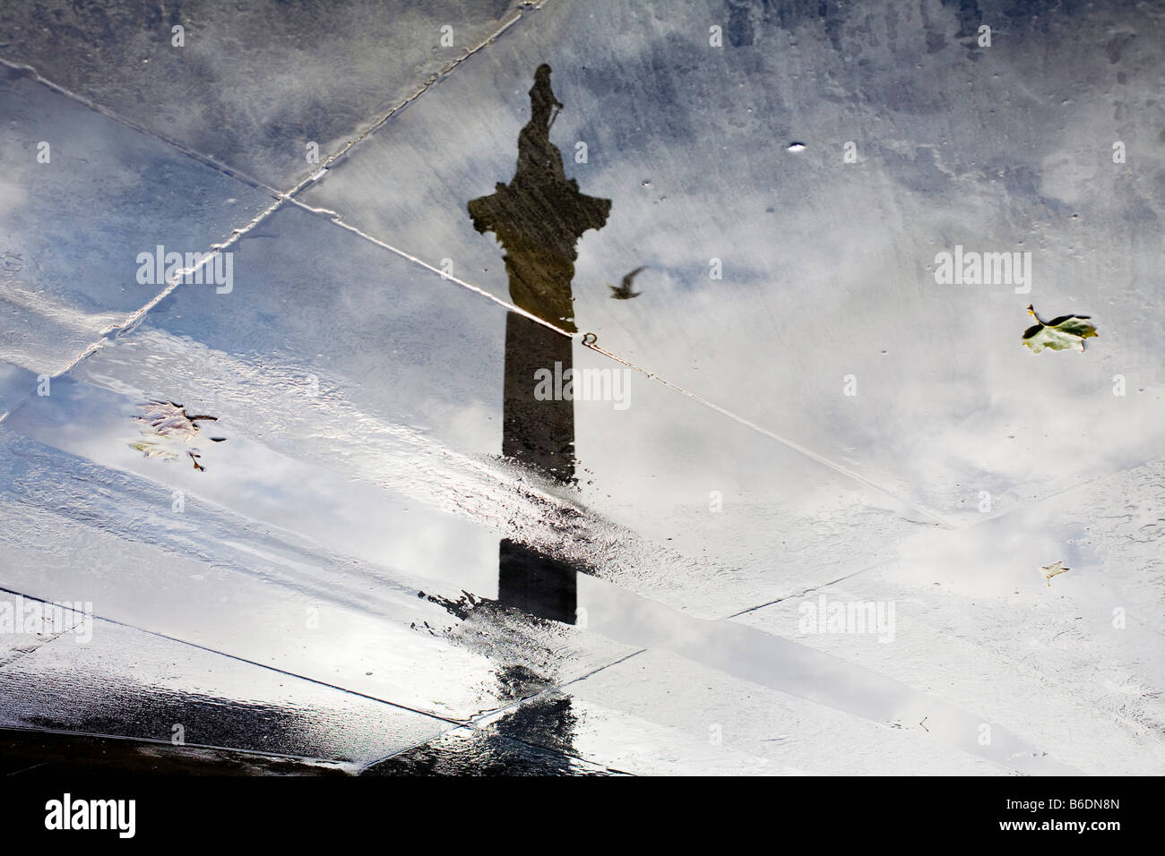 Nelsons Spalte spiegelt sich in Pfützen. Trafalgar Square, London, England, UK Stockfoto
