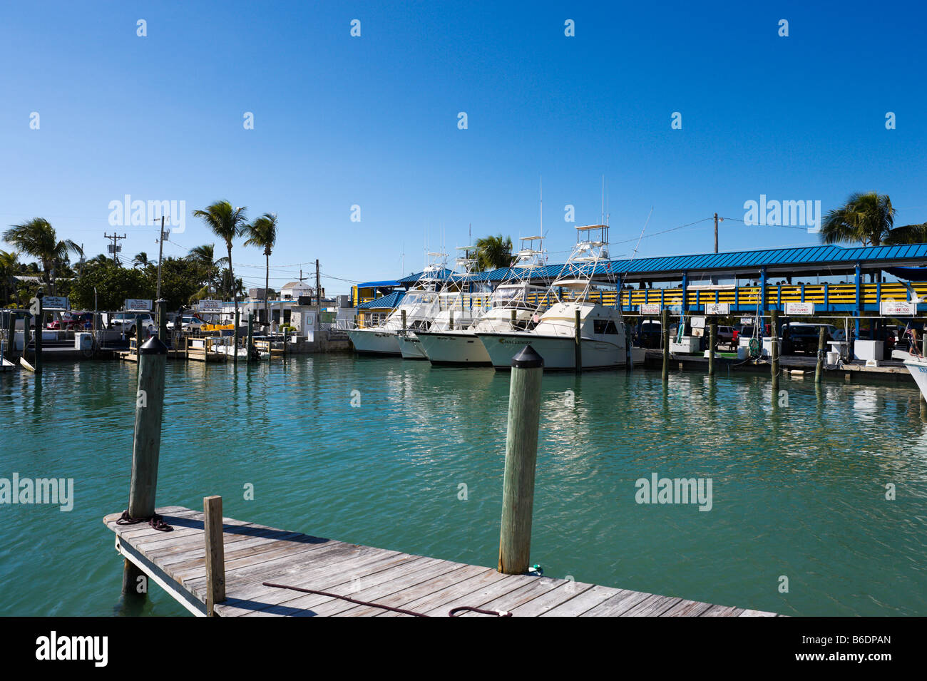 Angelboote/Fischerboote zum Charter auf Whale Harbor, obere Roman Taste, Islamorada, Florida Keys, USA Stockfoto