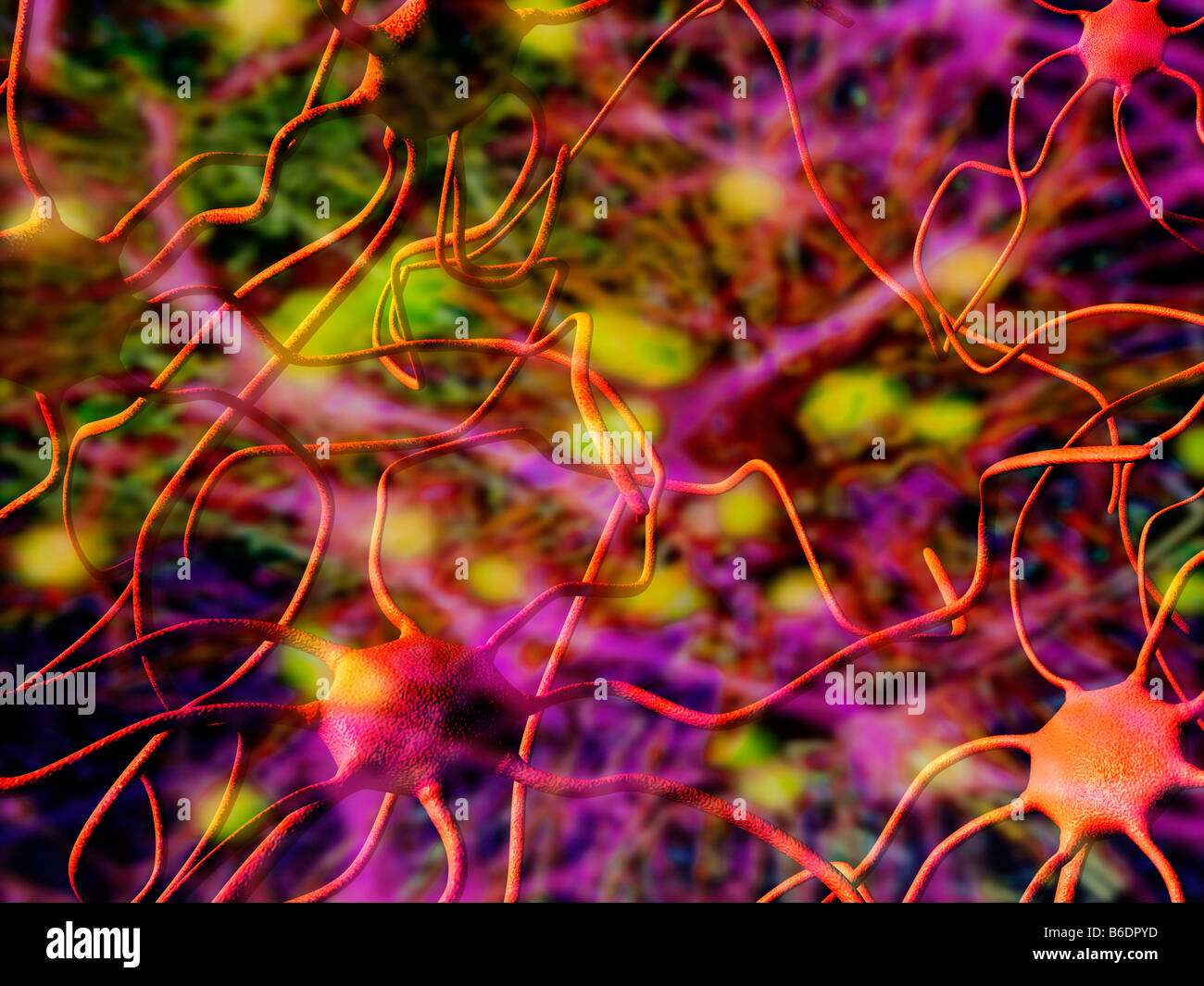 Nervenzellen. Computer-Artwork von Nervenzellen, Orneurons. Stockfoto