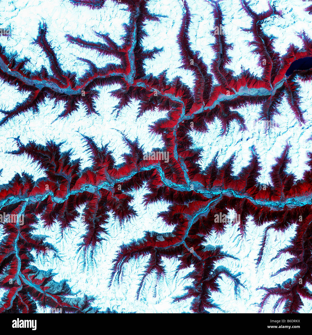 Östlichen Himalaya, Satellitenbild. Norden ist oben. Schnee ist weiß, die Vegetation ist rot, die Barrenareas sind leicht blau. Stockfoto