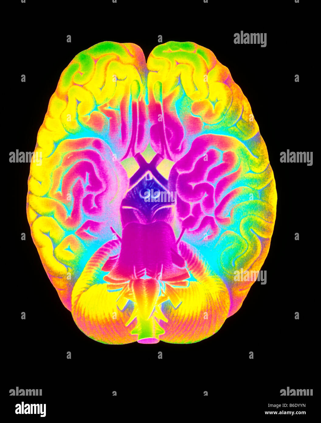 Menschliche Gehirn, Computer-enhanced historische Kunstwerke des menschlichen Gehirns. Stockfoto