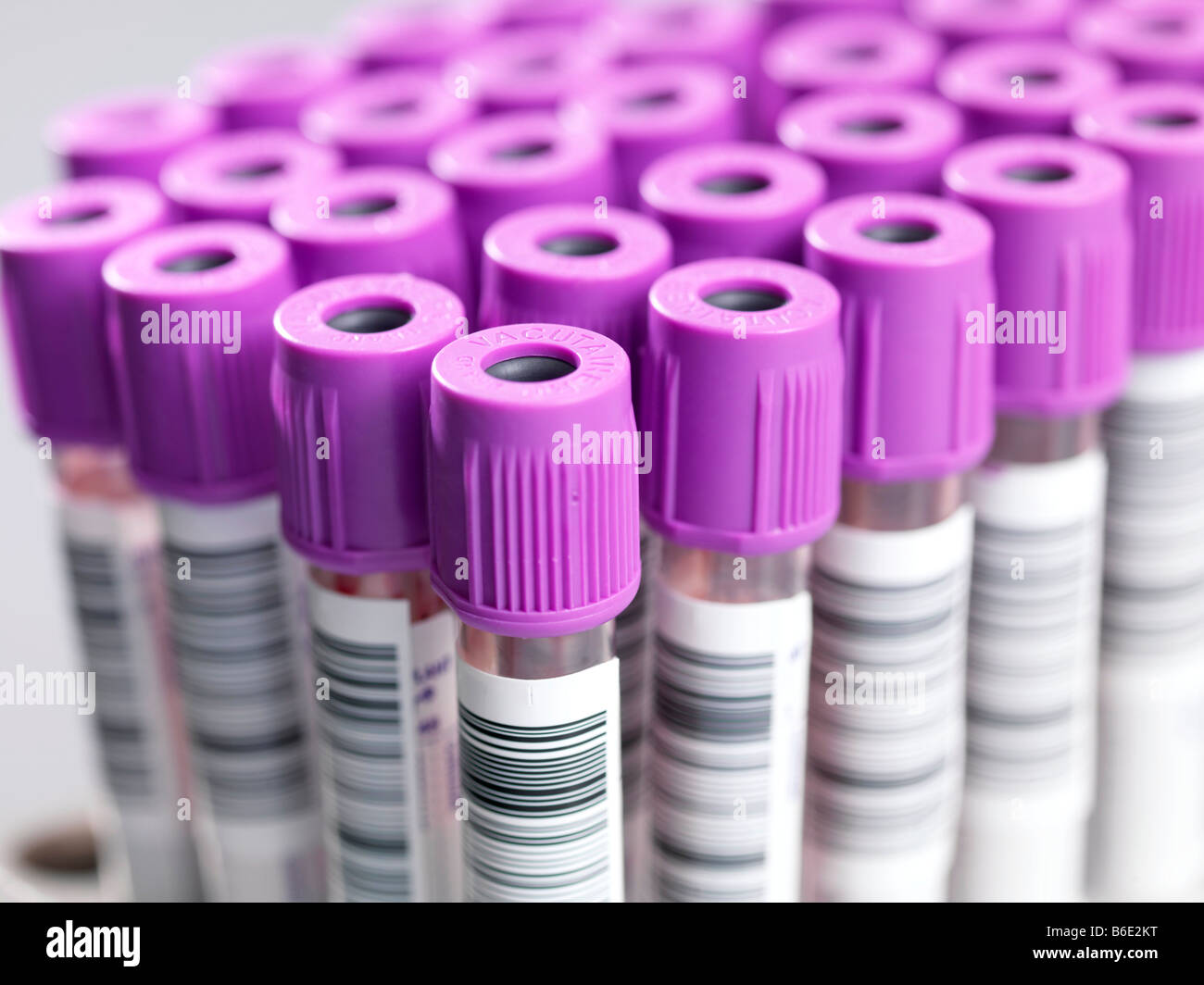 Blutproben. Vacutainer Röhrchen mit Blutproben und mit Barcodes versehen. Stockfoto