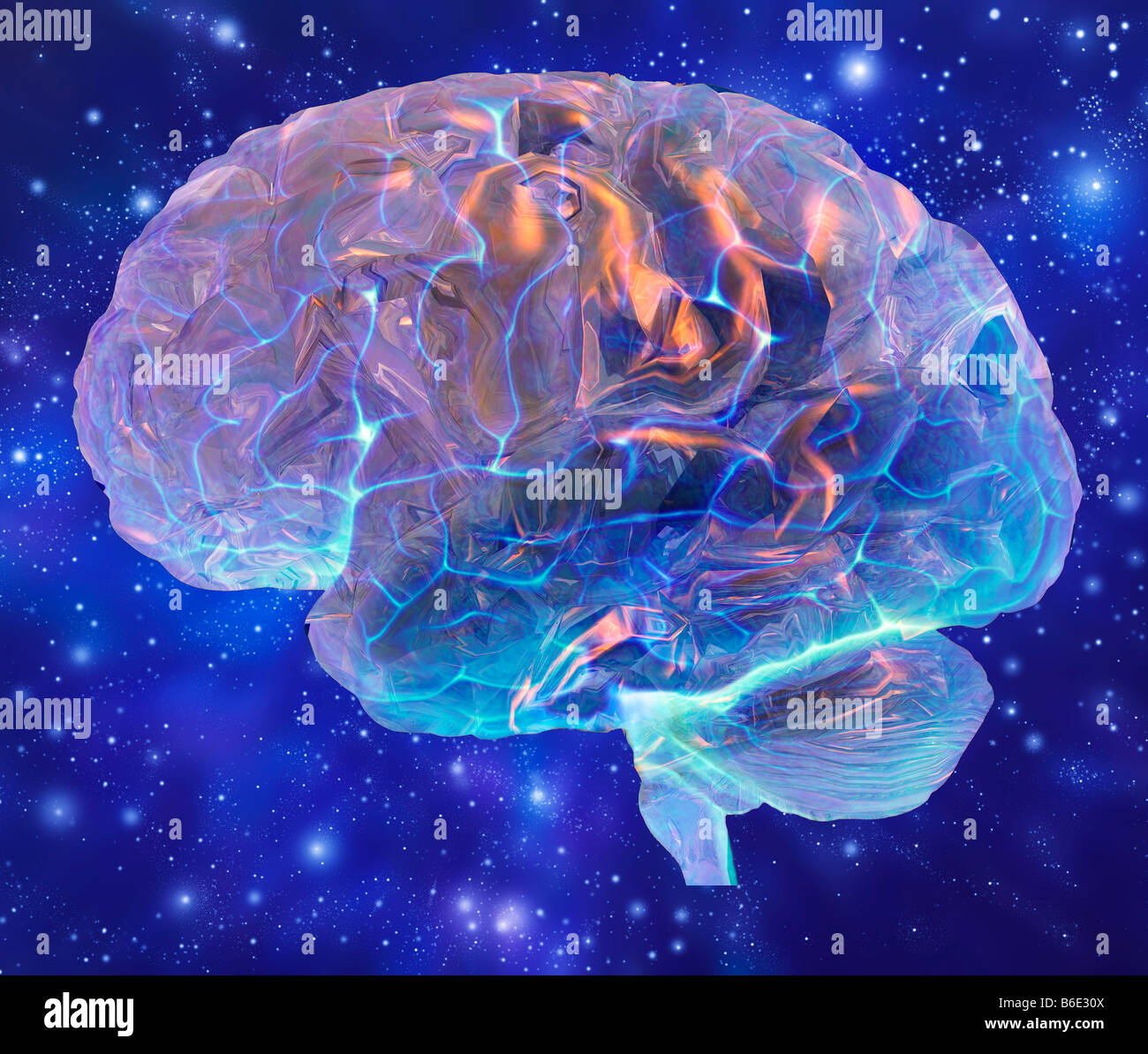 Menschliche Gehirn, Computer-Grafik. Die Front des Thebrain ist auf der linken Seite Stockfoto