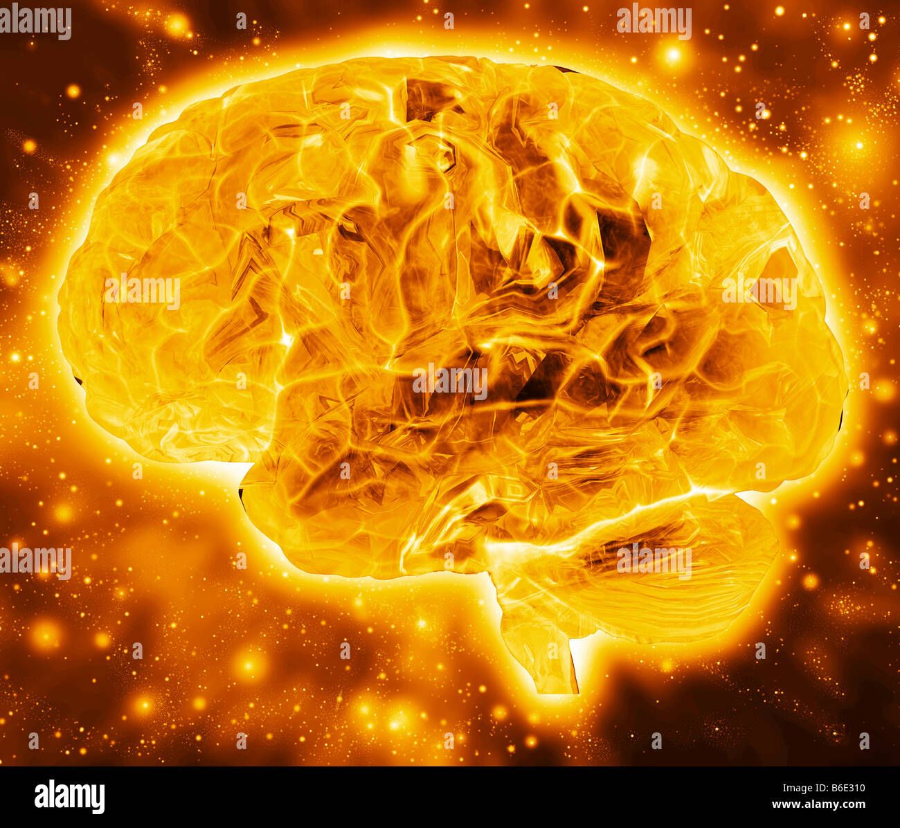 Menschliche Gehirn, Computer-Grafik. Die Front des Thebrain ist auf der linken Seite Stockfoto