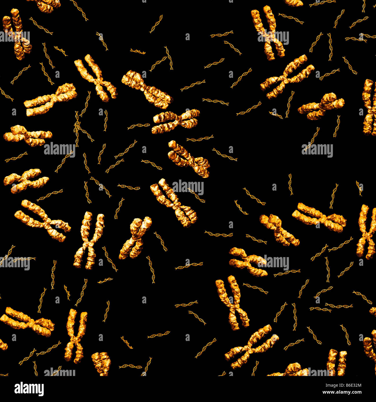 Chromosomen und DNA-Moleküle Stockfoto