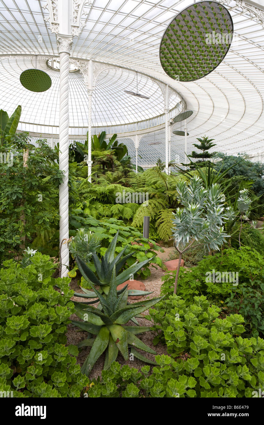 Die restaurierten Kibble Palace Gewächshaus im Botanischen Garten Glasgow, Glasgow, Schottland Stockfoto