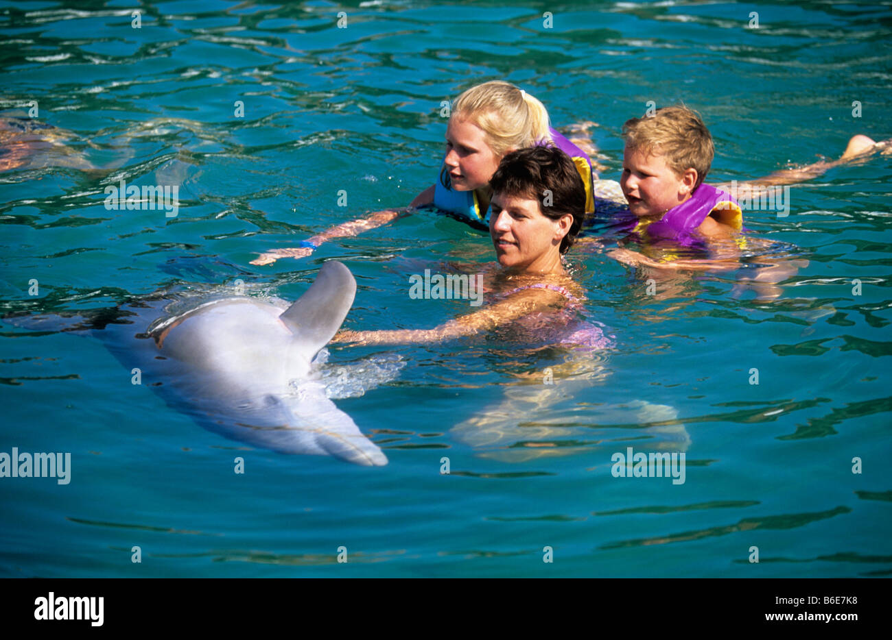 Kuba Holguin Provinz Guardalavaca Schwimmen mit Delfinen Stockfotografie -  Alamy