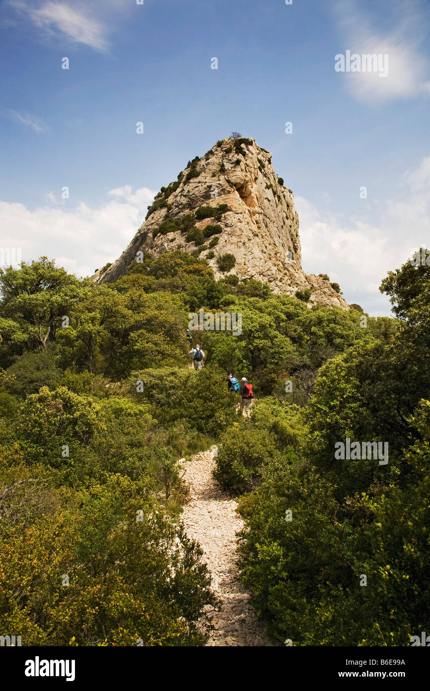 Wanderer zu Fuß in den Dentelles, in der Nähe von Gigondas, Languedoc-Roussillon, Frankreich Stockfoto
