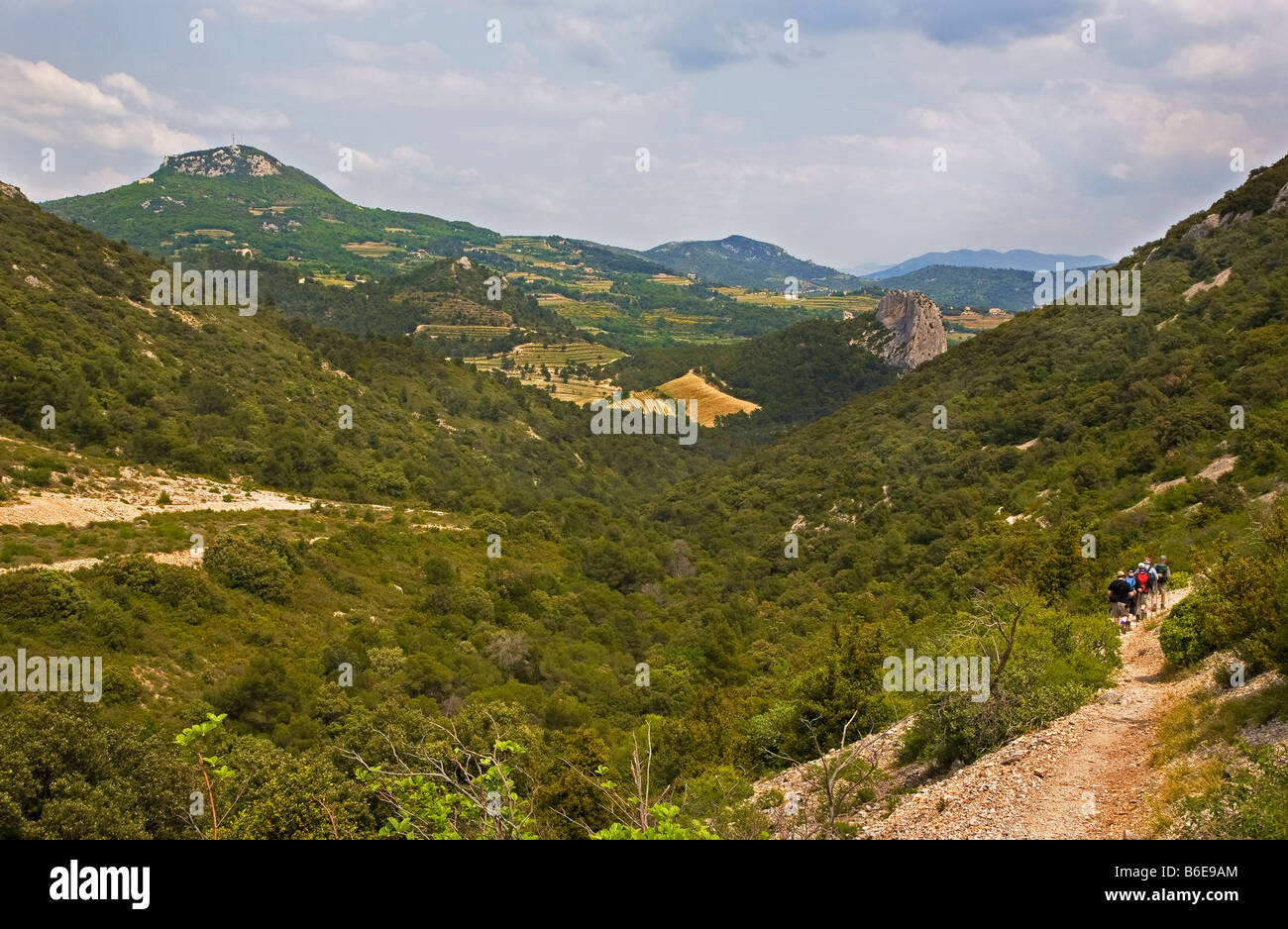 Tal in den Dentelles, in der Nähe von Gigondas, Languedoc-Roussillon, Frankreich Stockfoto