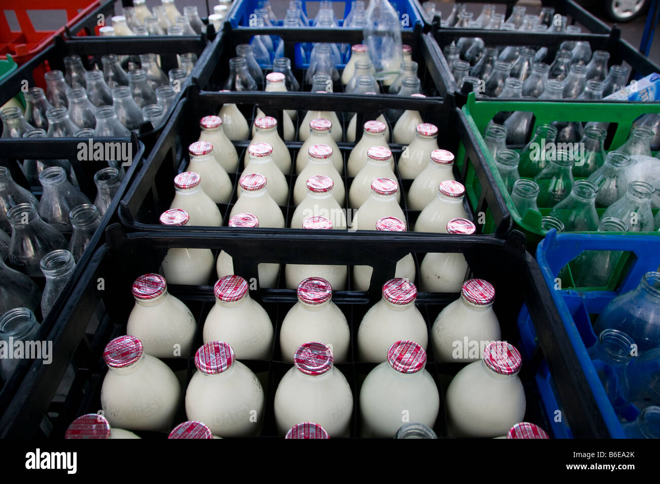 Flaschen Milch in Kisten in Großbritannien Stockfoto