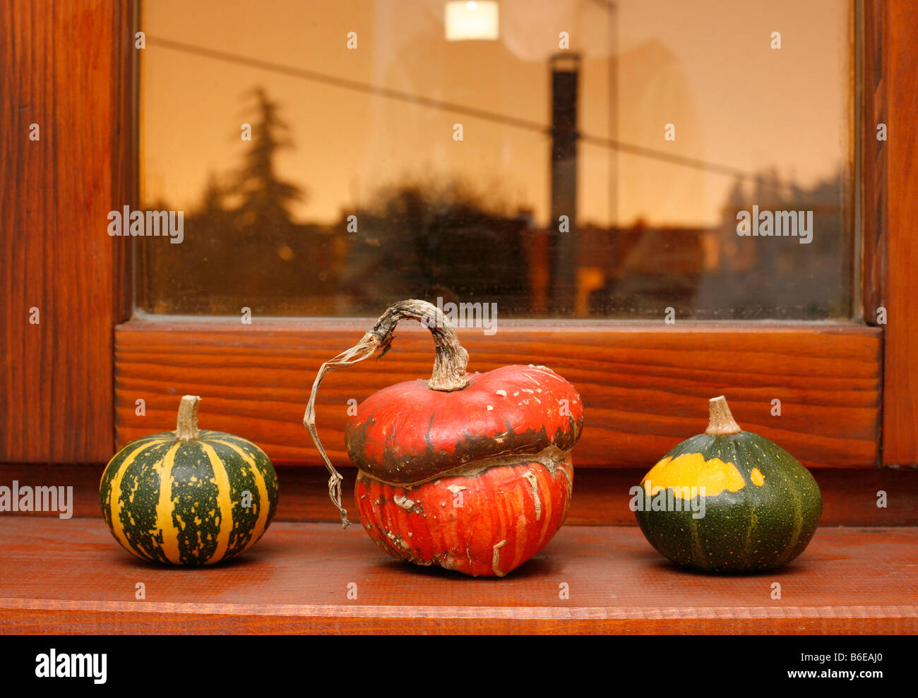 Drei verschiedene Kürbisse auf Fensterbank im Haus Stockfoto