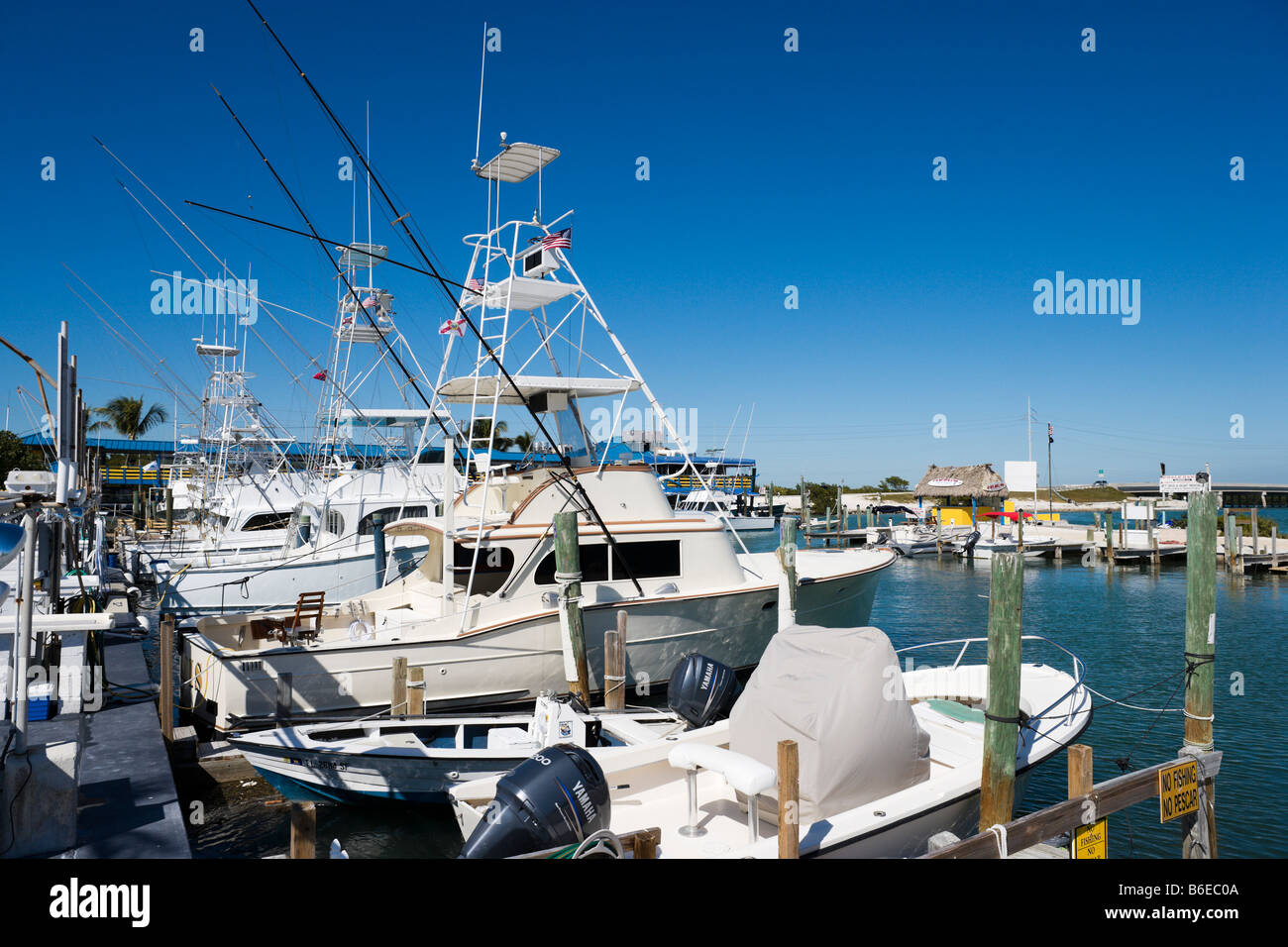 Angelboote/Fischerboote zum Charter auf Wal-Hafen, obere Roman Taste, Islamorada, Florida Keys, USA Stockfoto