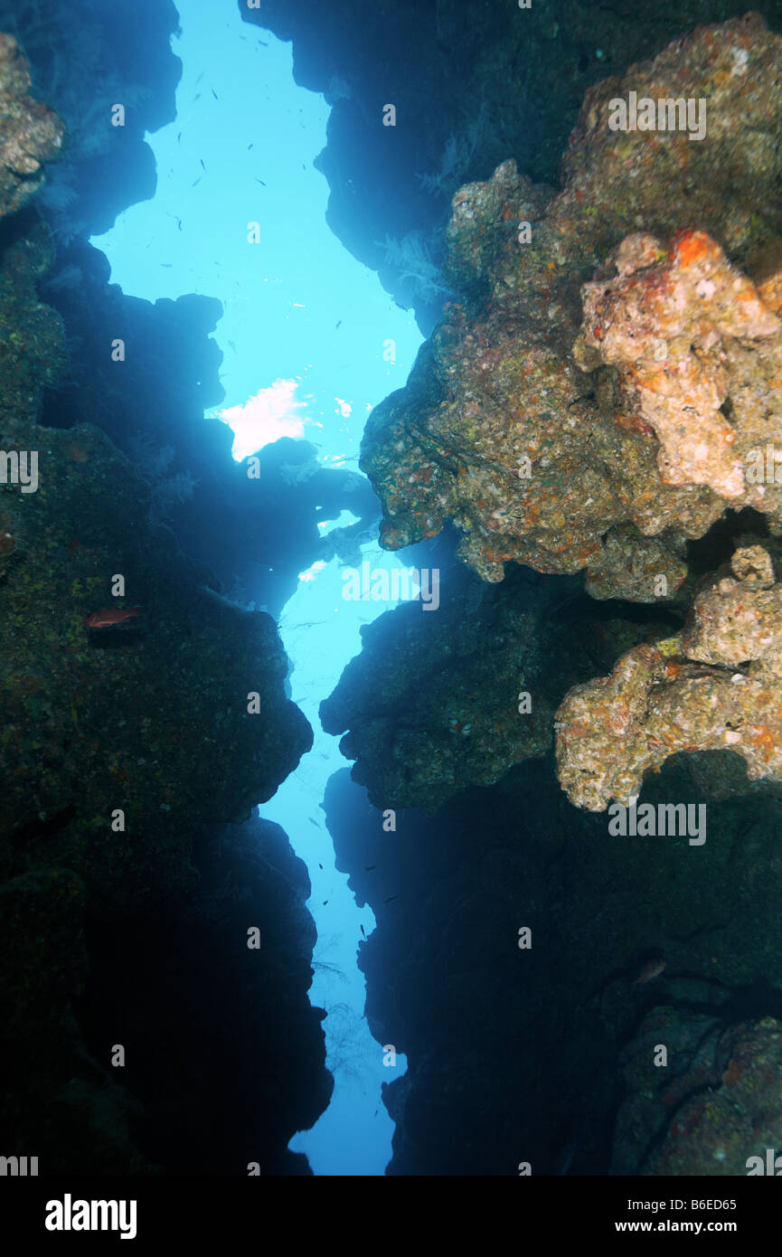 Unterwasserwelt im Roten Meer Stockfotografie - Alamy