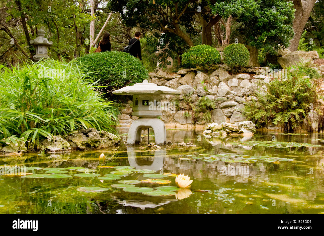 Austins Zilker Park Botanical Gardens Japanische Koi Teich