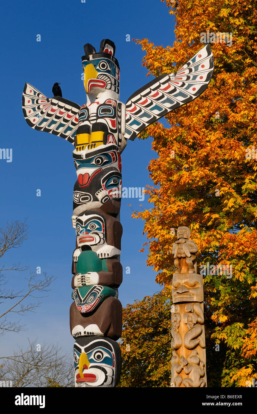 Kakasolas und Biber Crest Totempfähle Aborigines Holzschnitzerei im Stanley Park Vancouver mit raven auf blauen Himmel und Herbstlaub Stockfoto