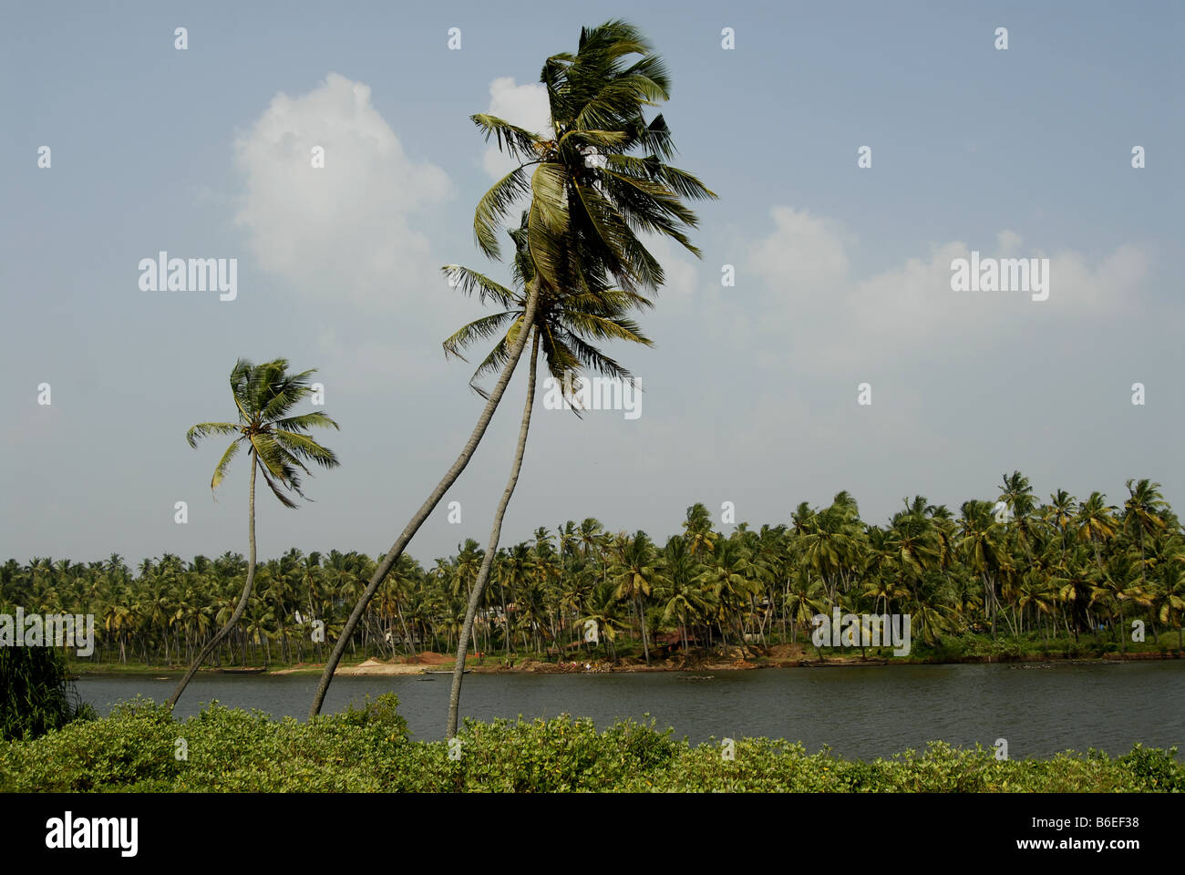 See, kerala Stockfoto