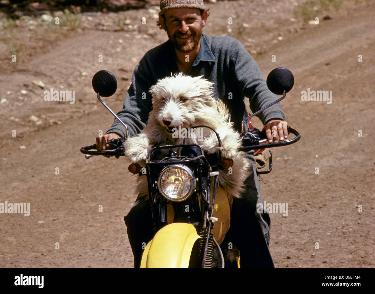 Bauer und Hund, Tasmanien, Australien Stockfoto
