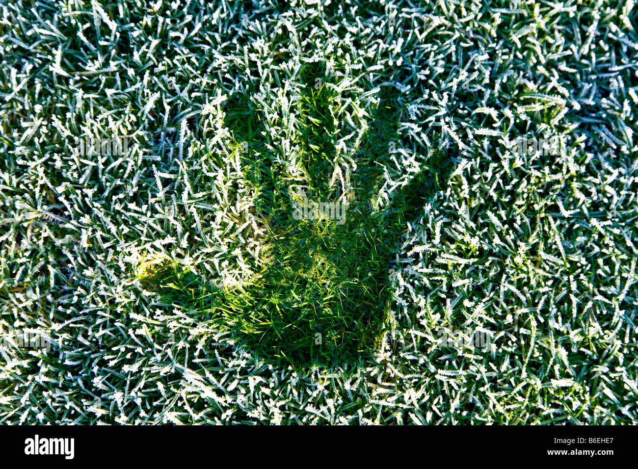 Handabdruck in frostigen Rasen Stockfoto