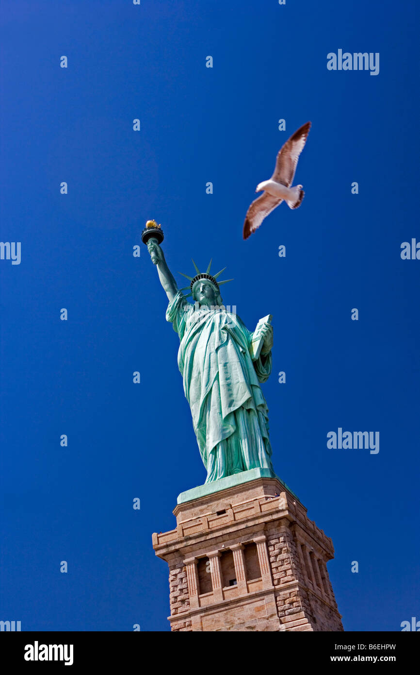 USA, New Jersey, Freiheitsstatue auf Liberty Island. Fliegende Möwe Stockfoto