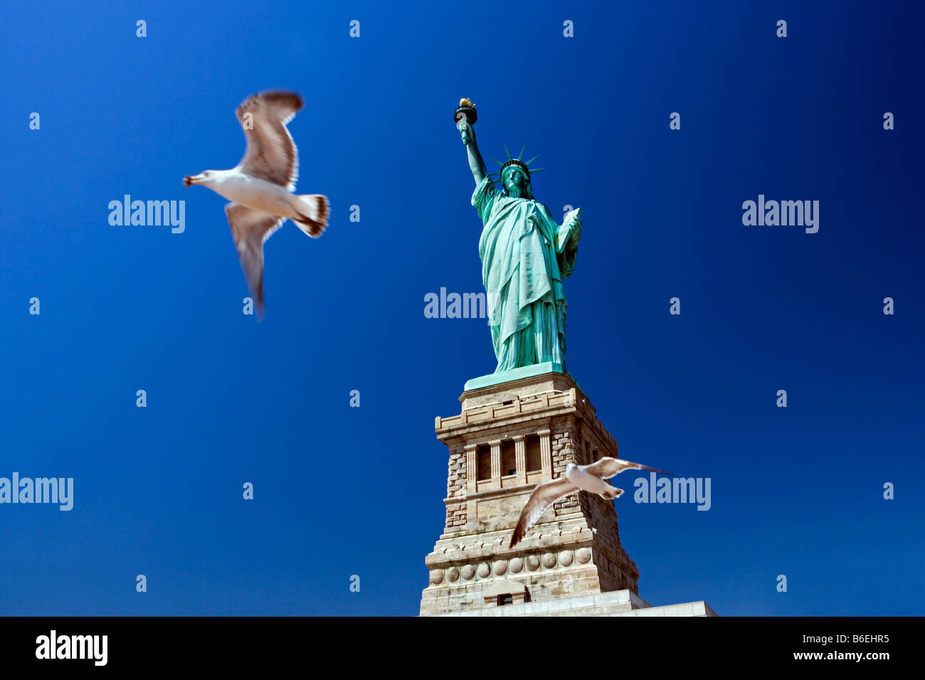 USA, New Jersey, Freiheitsstatue auf Liberty Island. Fliegende Möwe Stockfoto