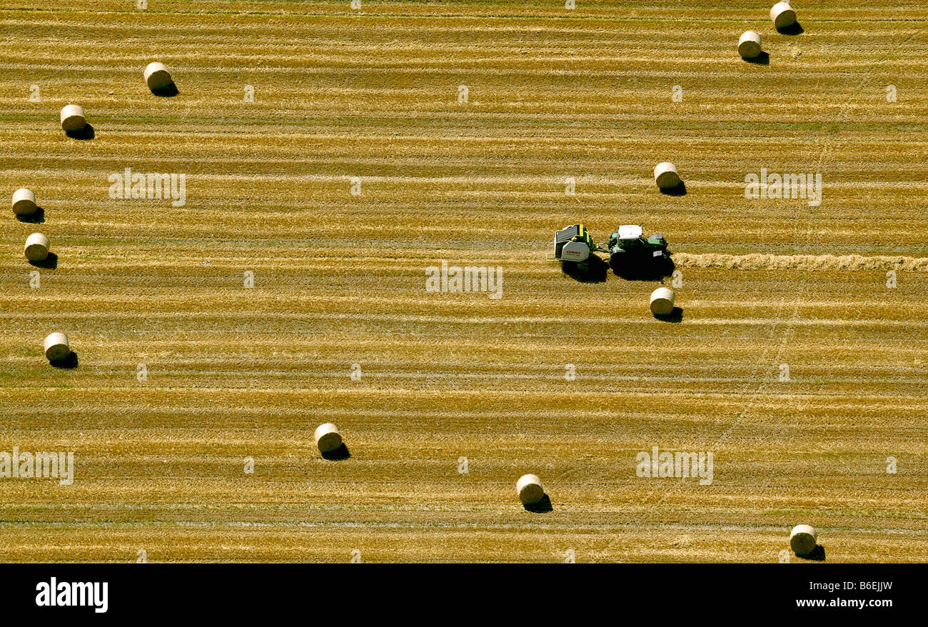 Luftaufnahme von Landwirtschaft, Bottrop-Kirchhellen, Ruhrgebiet, Nordrhein-Westfalen, Deutschland, Europa Stockfoto