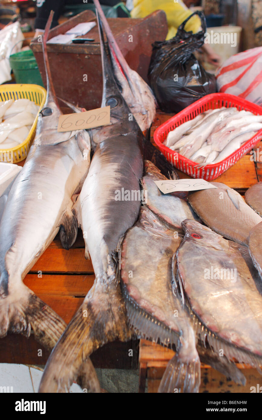 Fisch Markt, Fes, Marokko, Afrika Stockfoto