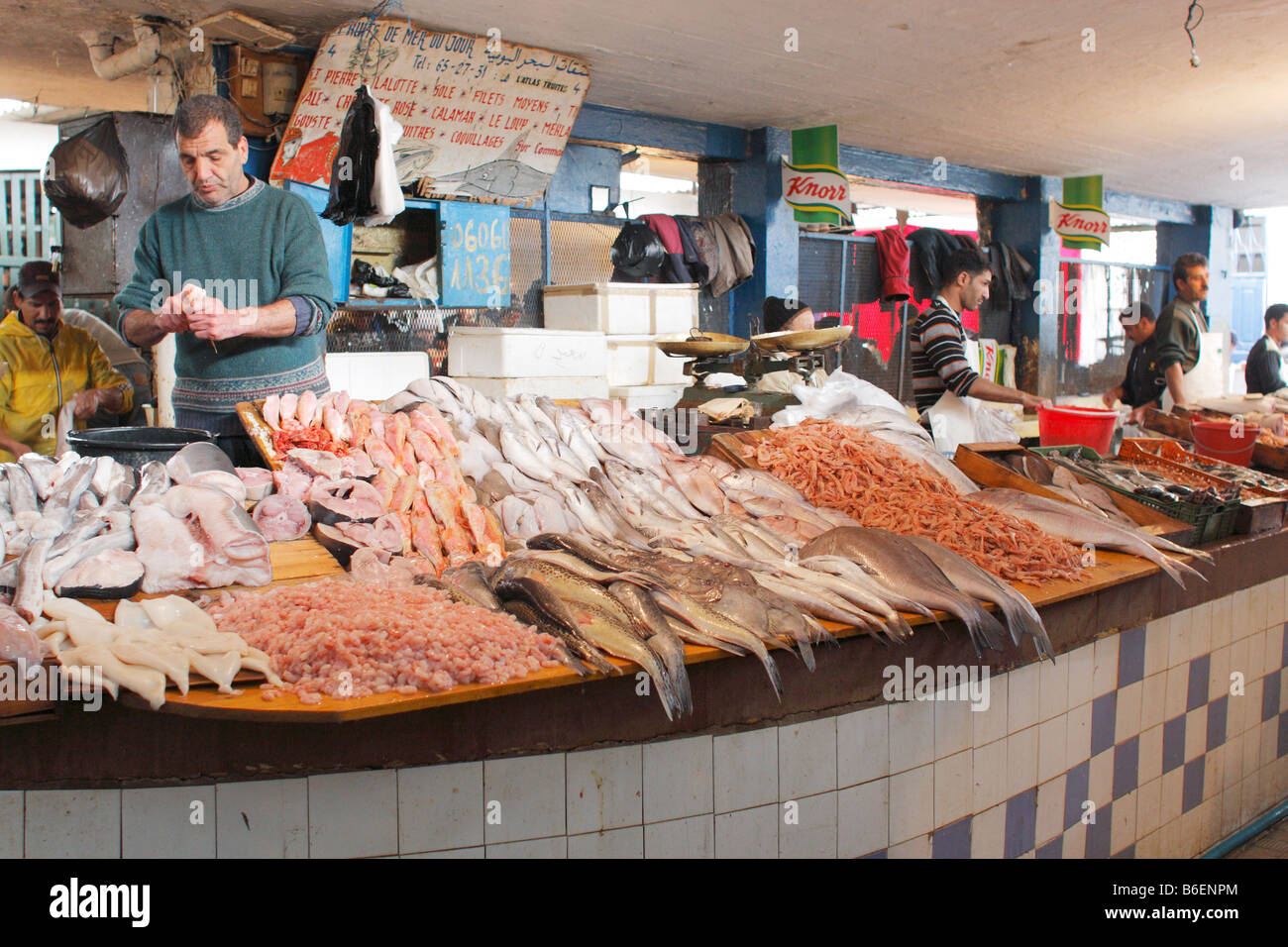 Fisch Markt, Fes, Marokko, Afrika Stockfoto