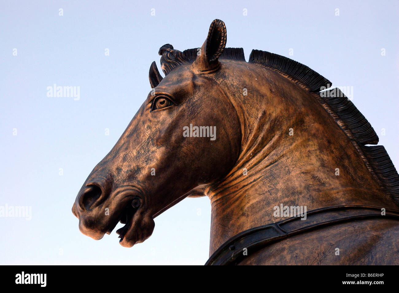 Pferdenkopf von der vier Team-Pferde-Statue auf die San Marco Basilika oder Basilica di San Marco ein Venezia, Venedig, Italien, Eu Stockfoto