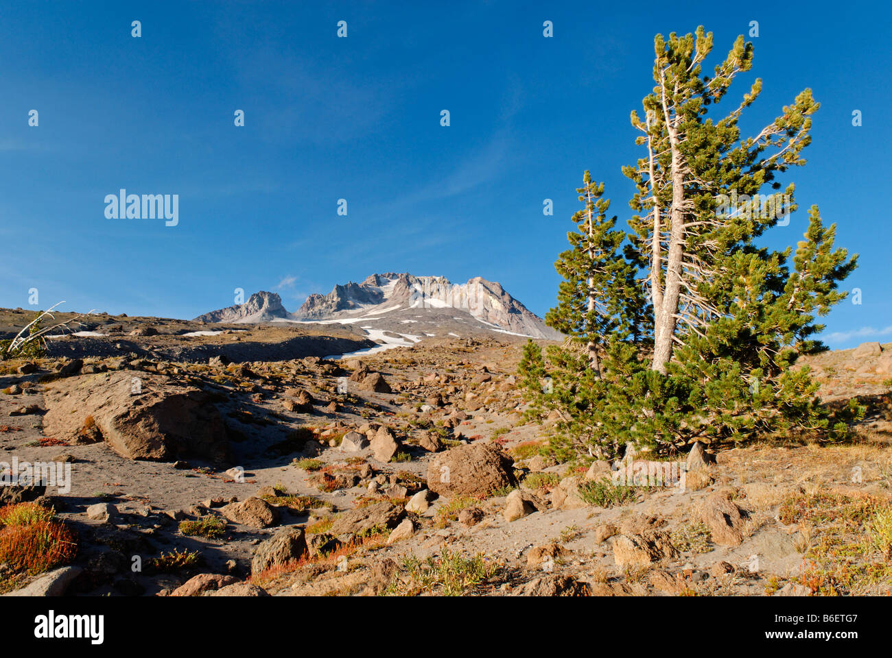 Südlichen Rand des Vulkans Mount Hood, Kaskade-Strecke, Oregon, USA Stockfoto