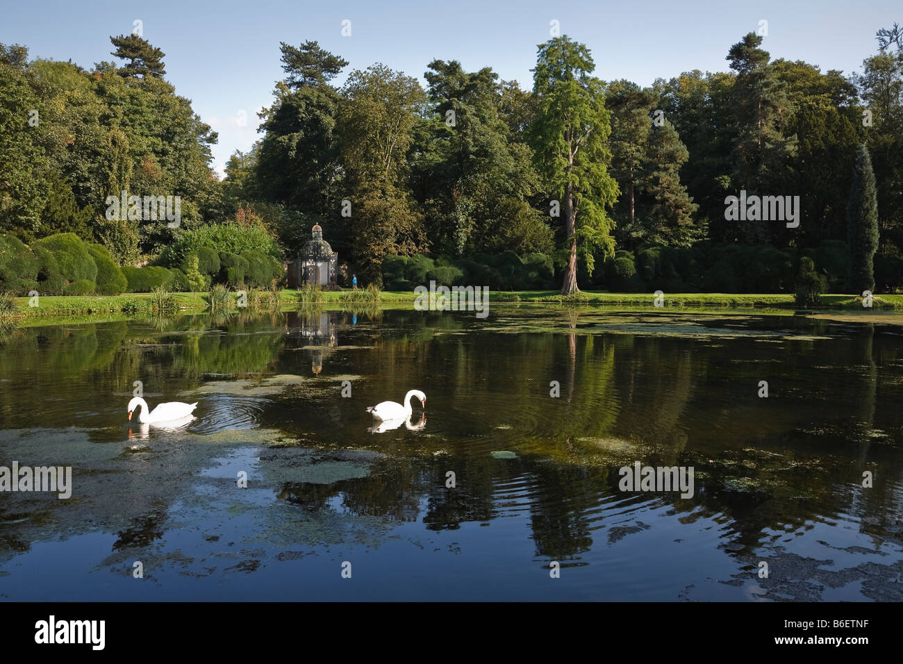 Den See und die Gärten in Melbourne Hall, Derbyshire, England, UK Stockfoto