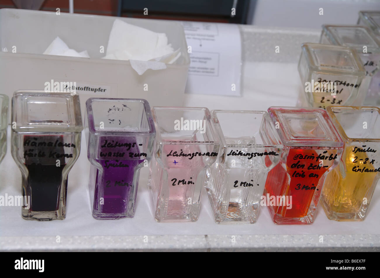 Chemikalien auf einem Labortisch Stockfoto