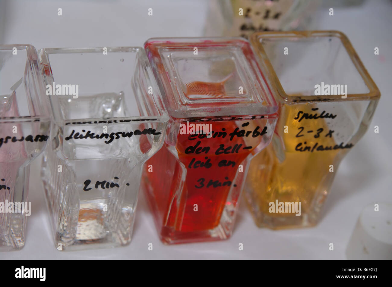 Chemikalien auf einem Labortisch Stockfoto