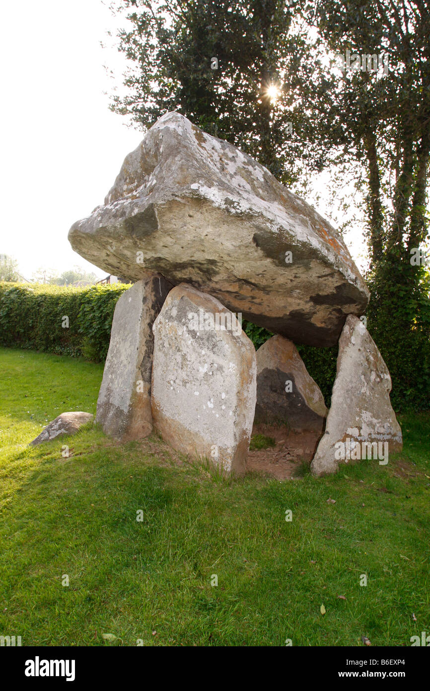 Position Coetan Arthur Bestattung Kammer (Dolmen) in Newport Pembrokeshire Wales, in der Nähe von Carn Ingli. vertikale 84192 Newport Stockfoto