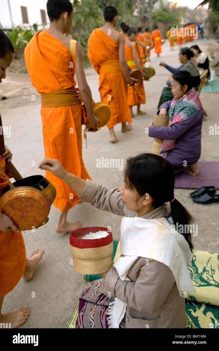 Novizen, die Durchführung von Almosen, Laos Südostasien Stockfoto
