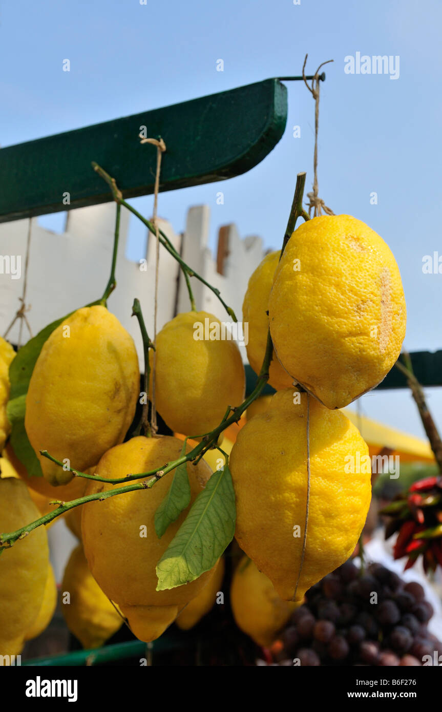Zitronen für Verkauf auf dem stall in Sirmione, Lombardei, Italien, Europa Stockfoto