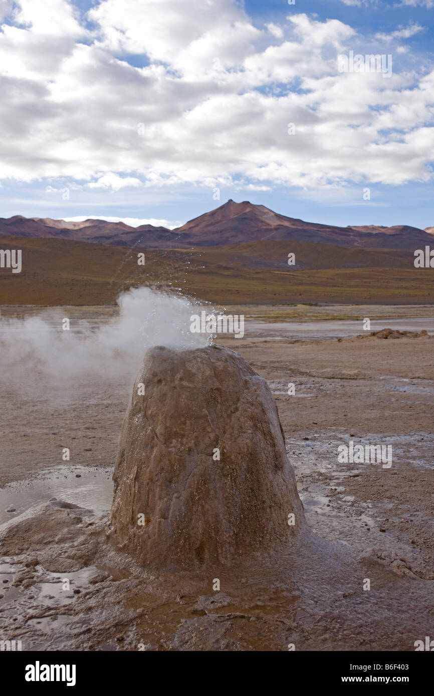 El Tatio Geysire, Atacamawüste, Chile Stockfoto