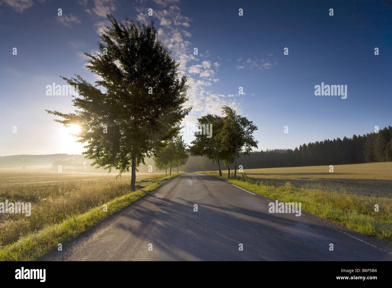 Landstraße im Morgennebel mit steigenden Sonne, Deutschland, Sachsen, Vogtlaendische Schweiz Stockfoto