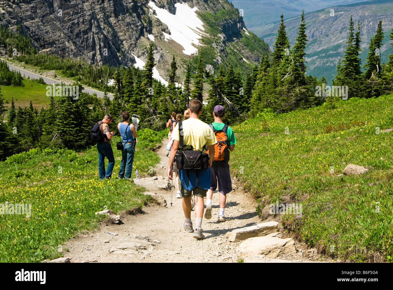 Wanderer auf Highline Trail am Logan Pass im Glacier Nationalpark Stockfoto