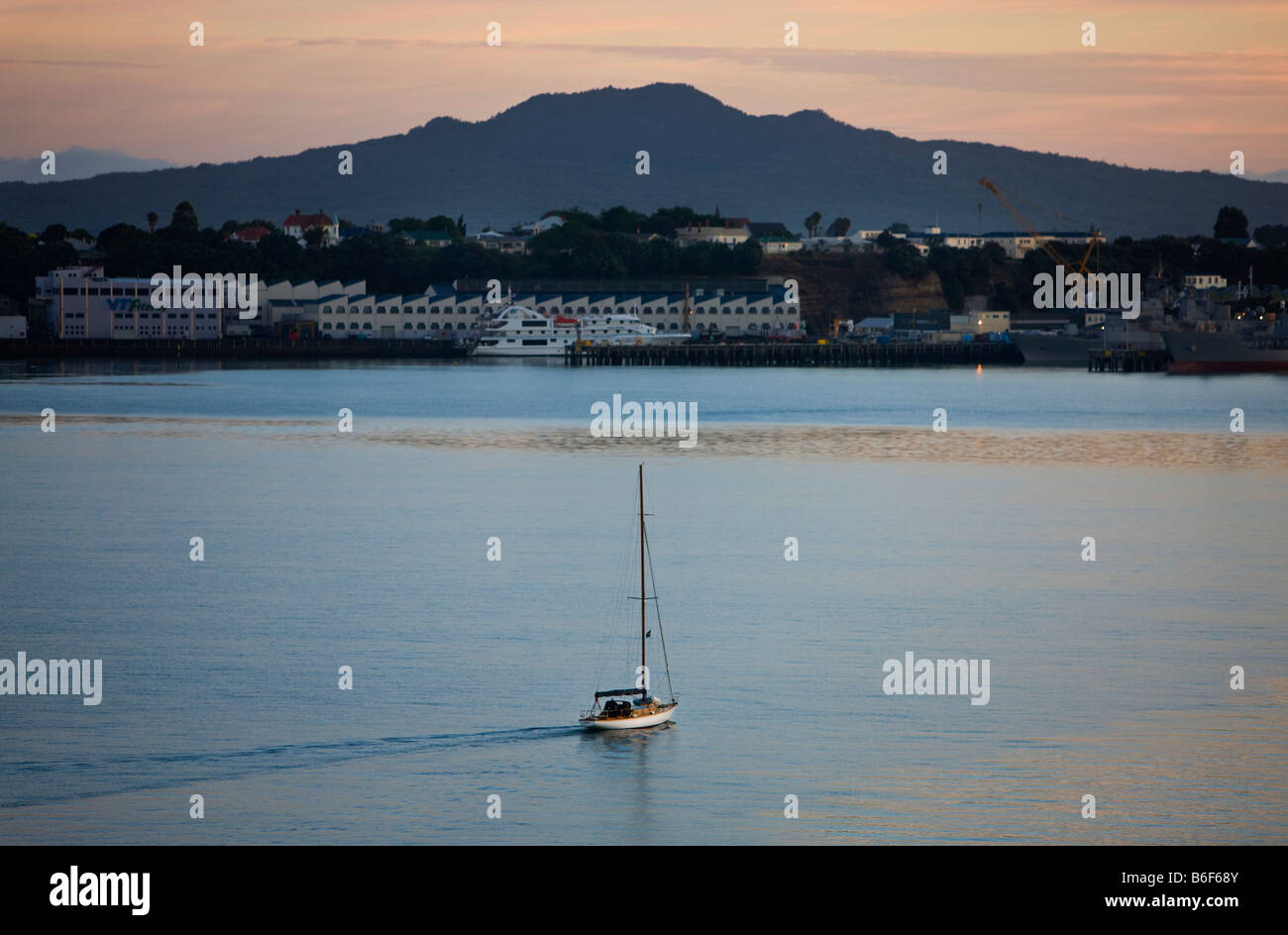 Ein Segel Boot Köpfe in der Morgendämmerung im Waitemata Harbour mit Rangitoto Island im Hintergrund, Auckland, Neuseeland. Stockfoto