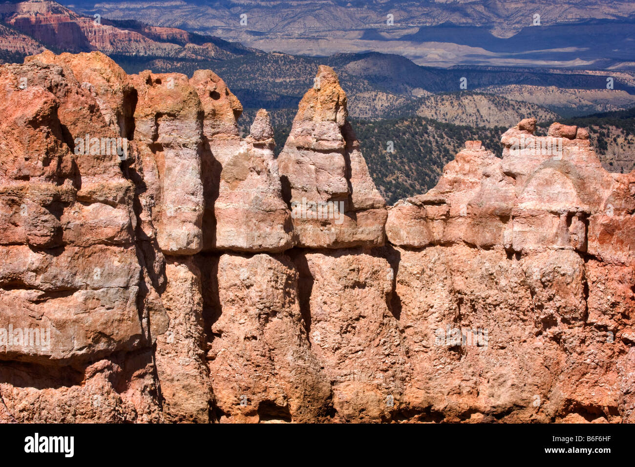 Black Birch Canyon, Bryce Canyon National Park, Utah. Stockfoto