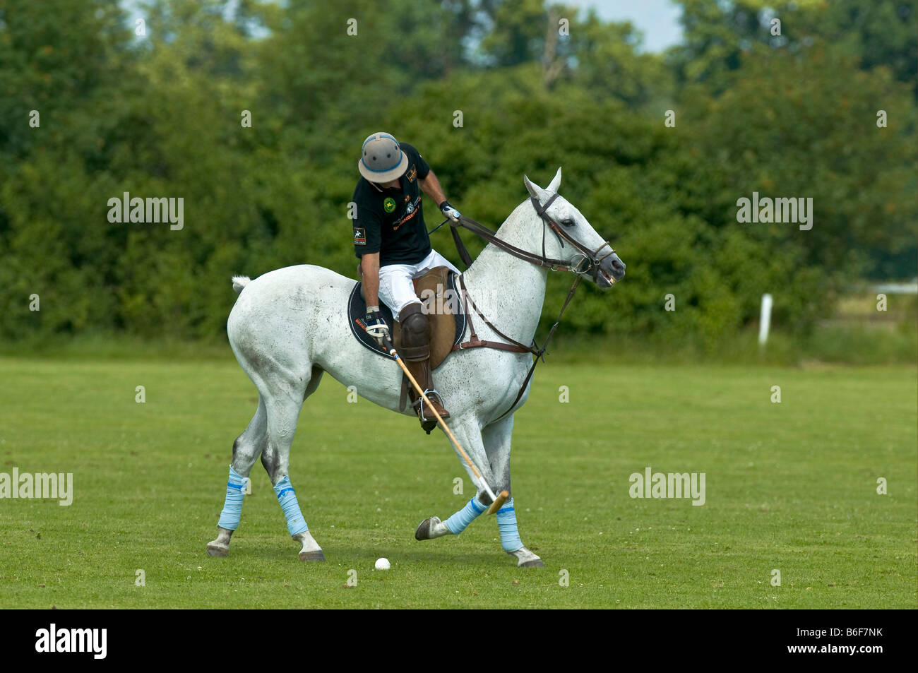 Polo, Polo-Spieler auf einem grauen Pferd, Polo Wettbewerb, Berenberg hohe Ziel Trophy 2008, Thann, Holzkirchen, Oberbayern, Bavari Stockfoto