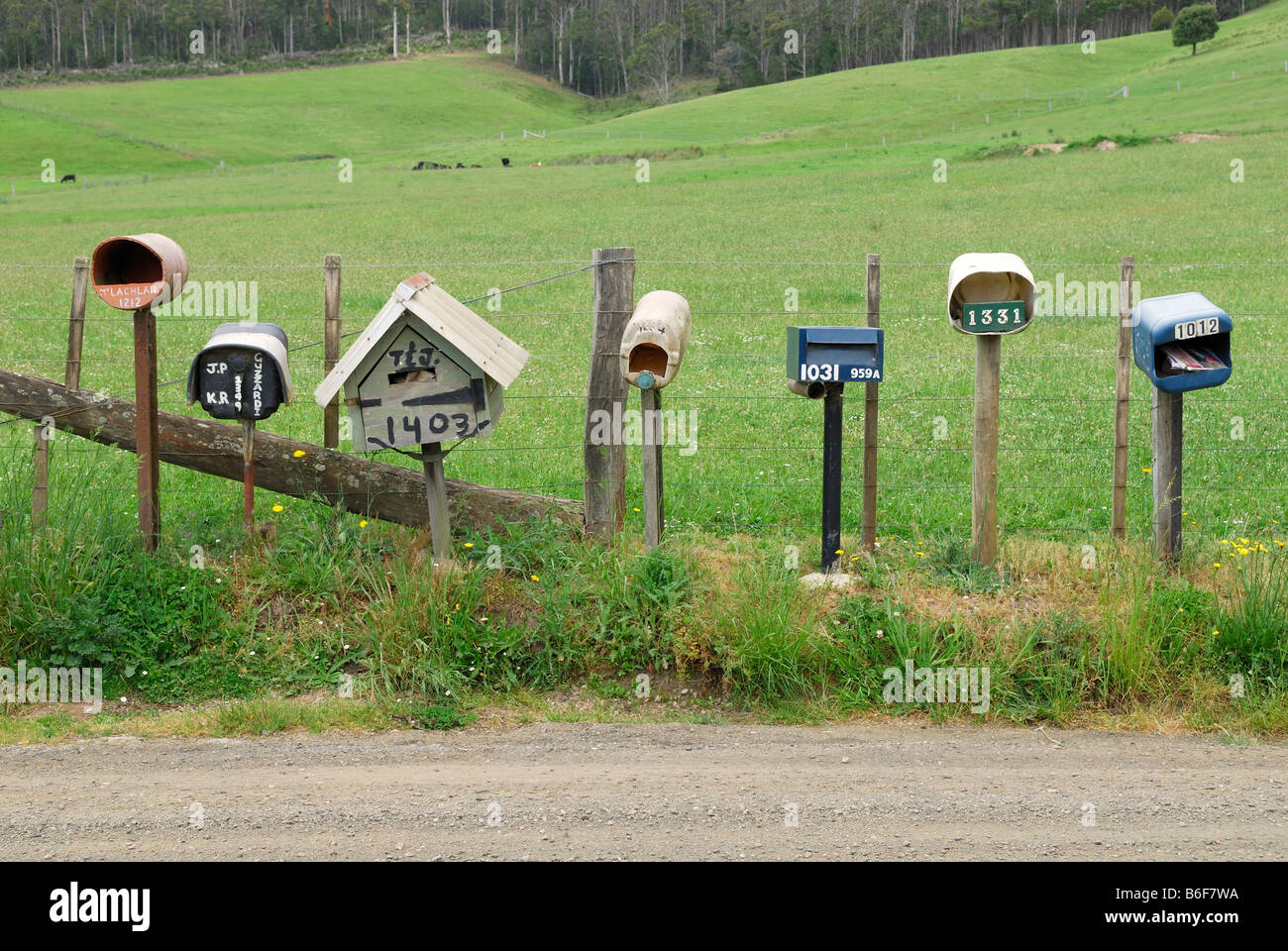 Briefkästen der verschiedenen Bauernhöfe auf der Seite einer Straße in der Nähe von Deloraine, Tasmanien, Australien Stockfoto