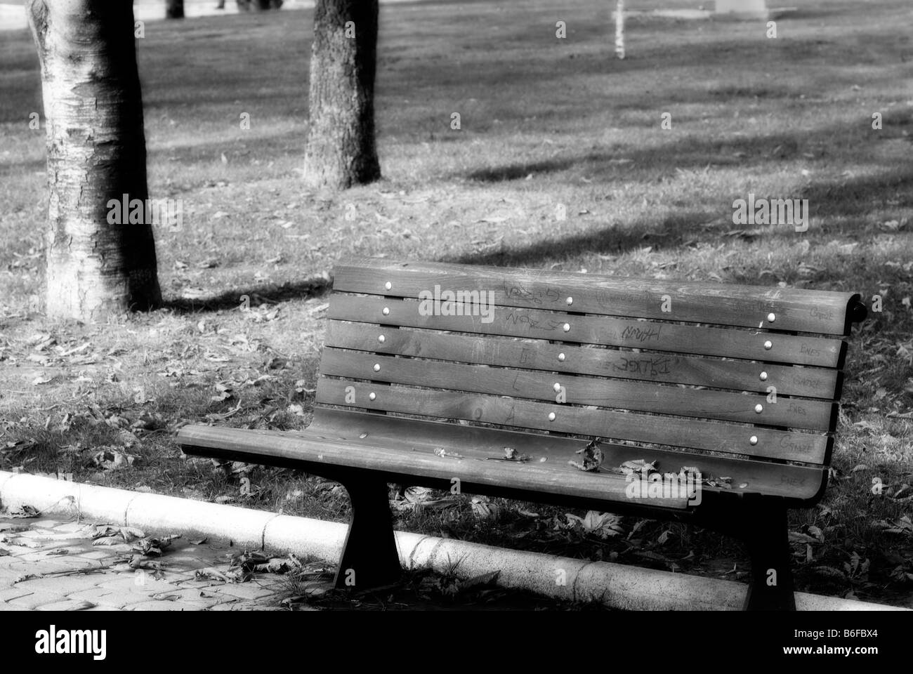 Stuhl im park Stockfoto