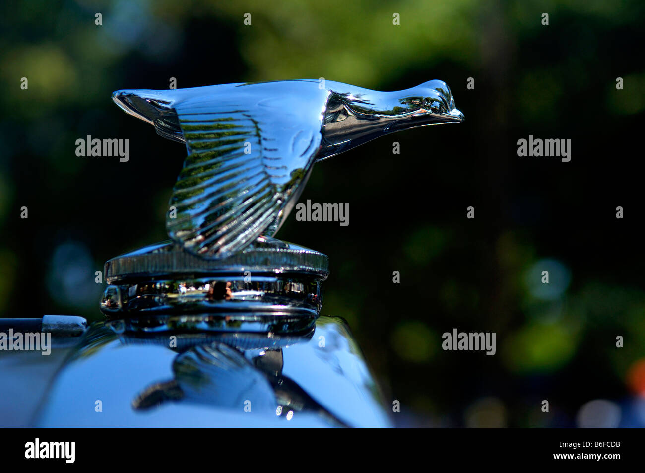 Kühlerfigur von einem 1931 Ford bei bei Classic Car Show in Belvidere, New Jersey, USA Stockfoto