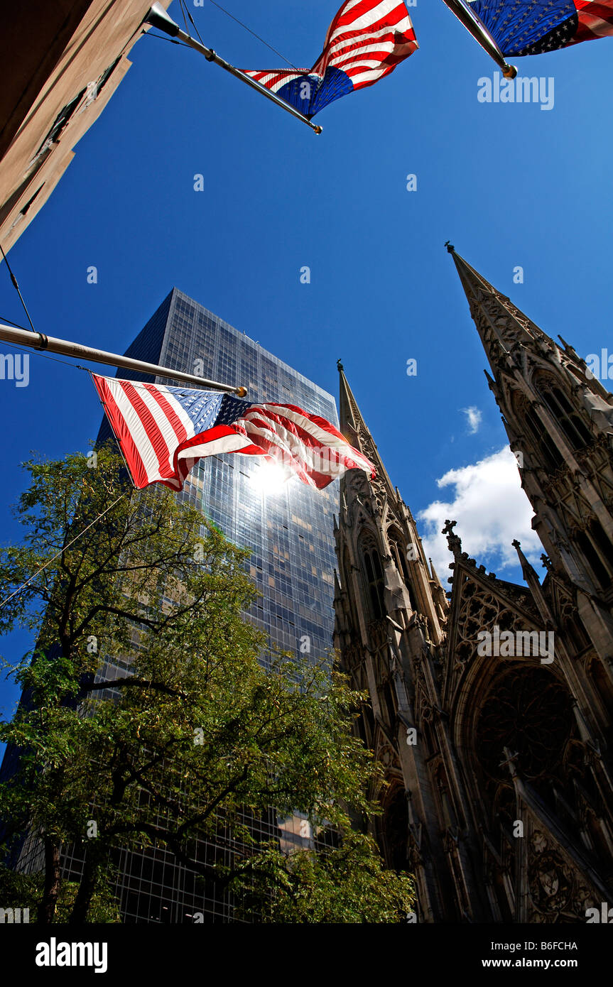 US-Fahnen wehen im Wind, Wolkenkratzer und St. Patricks Kathedrale Kirchtürme in den Rücken, New York City, USA Stockfoto